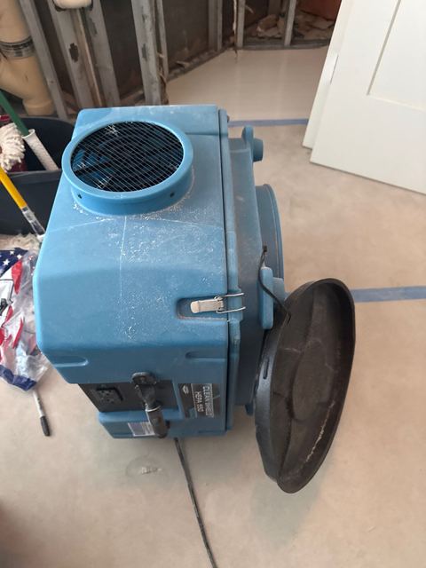 Mold-stained stud beside a door frame, and a blue dehumidifier running in the opened room.